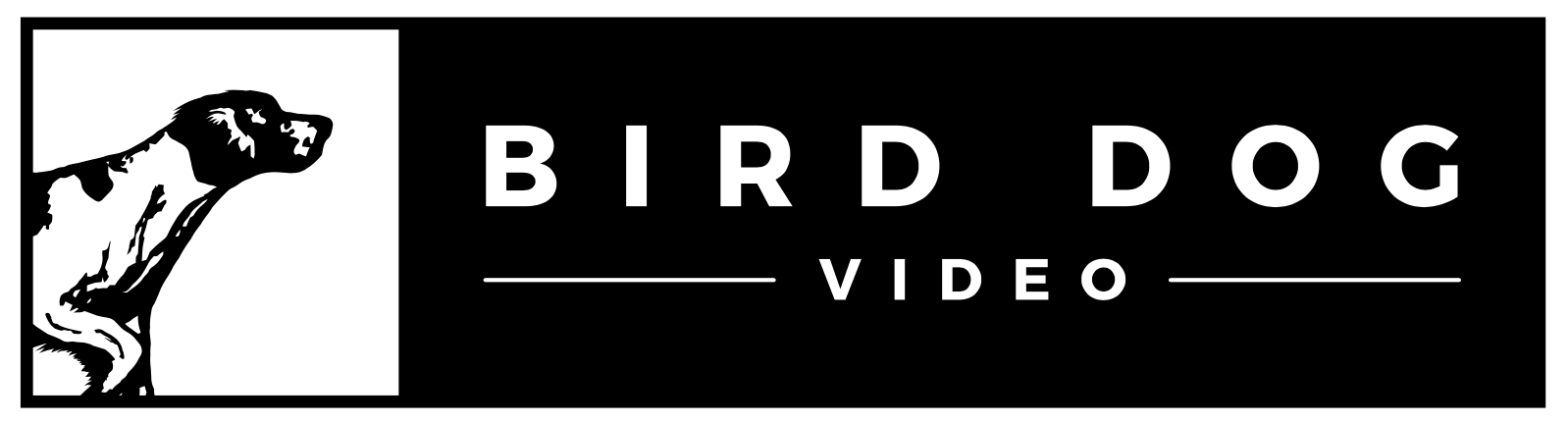 Bird Dog Video